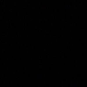 Meet your Posher, Ginny